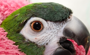 スクリーンショット (1)