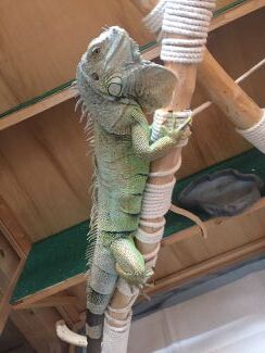 4AF73604E7F57D60A27C785CA51DCE5196C7674A2